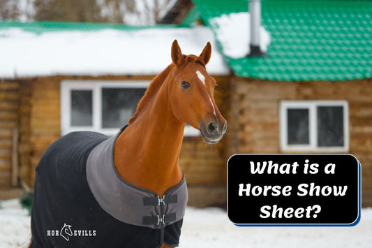 What is a Horse Show Sheet? Why Do You Need One?