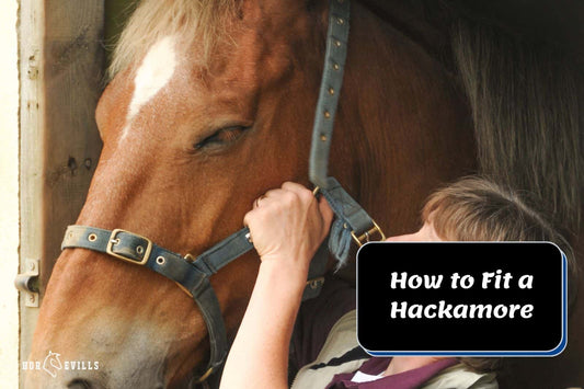 How to Fit a Hackamore to a Horse (Mechanical & Western)
