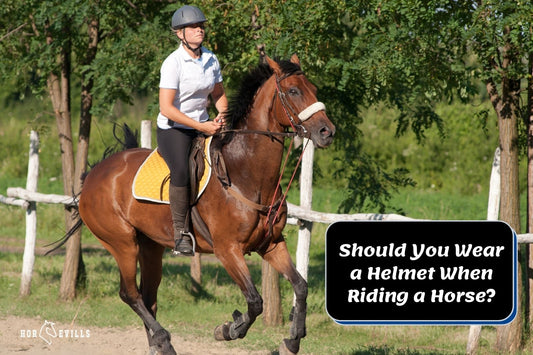 6 Reasons Why You Should Wear Horse Riding Helmets
