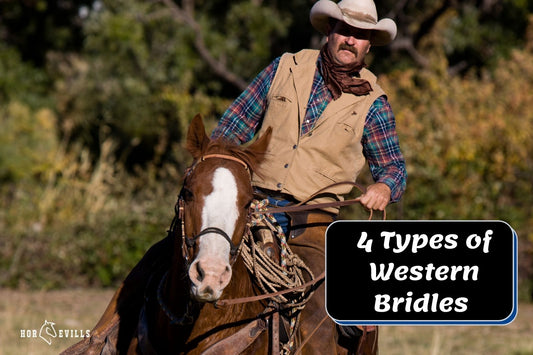 4 Different Types of Western Bridles