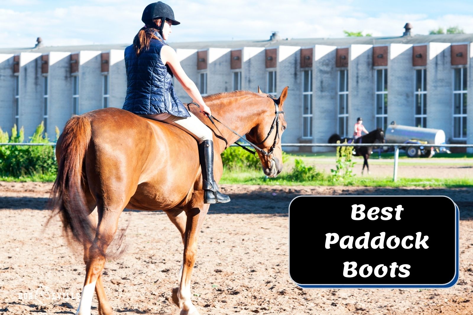 Top 14 Paddock Boots for Riding (Expert's Review) â My Store