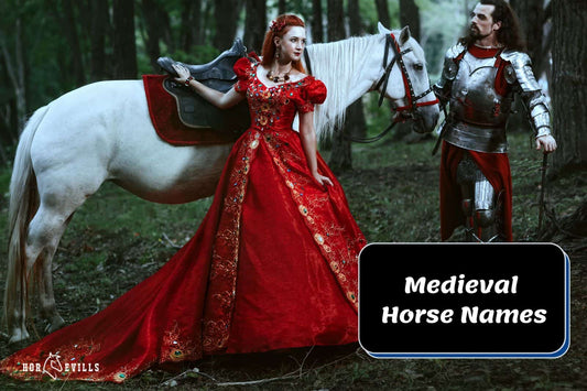 40+ Medieval Horse Names for Bold & Brave Equines
