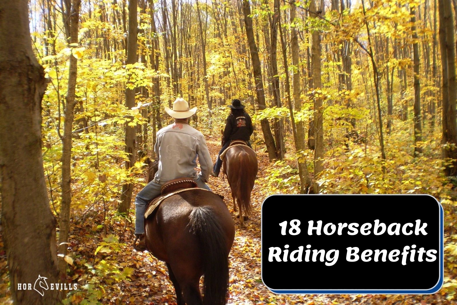 18 Benefits of Horseback Riding and Why You Should Try It – My Store