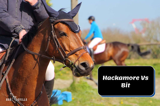 Hackamore Vs Bit: Choosing the Right Bridle for Your Horse