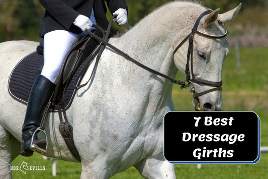 7 Best Dressage Girths for Horses in 2024