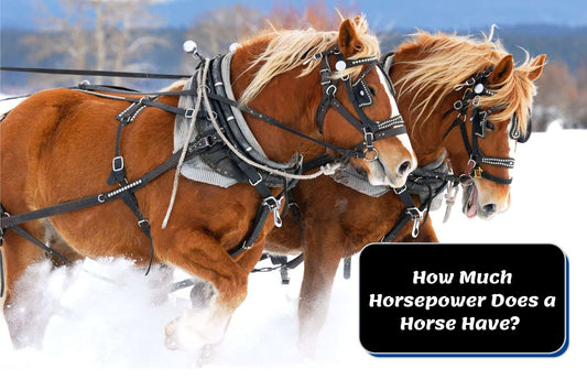 How Much Horsepower Does a Horse Have? How Is It Calculated?