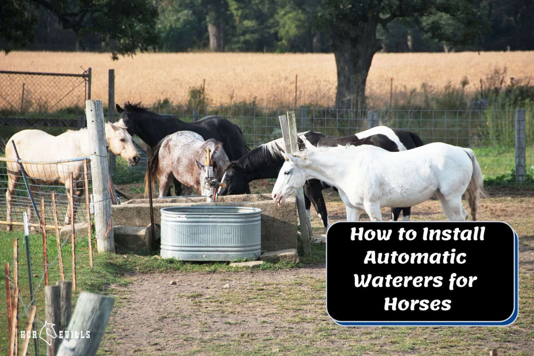 How to Install Automatic Waterers for Horses &amp; Why Get One?