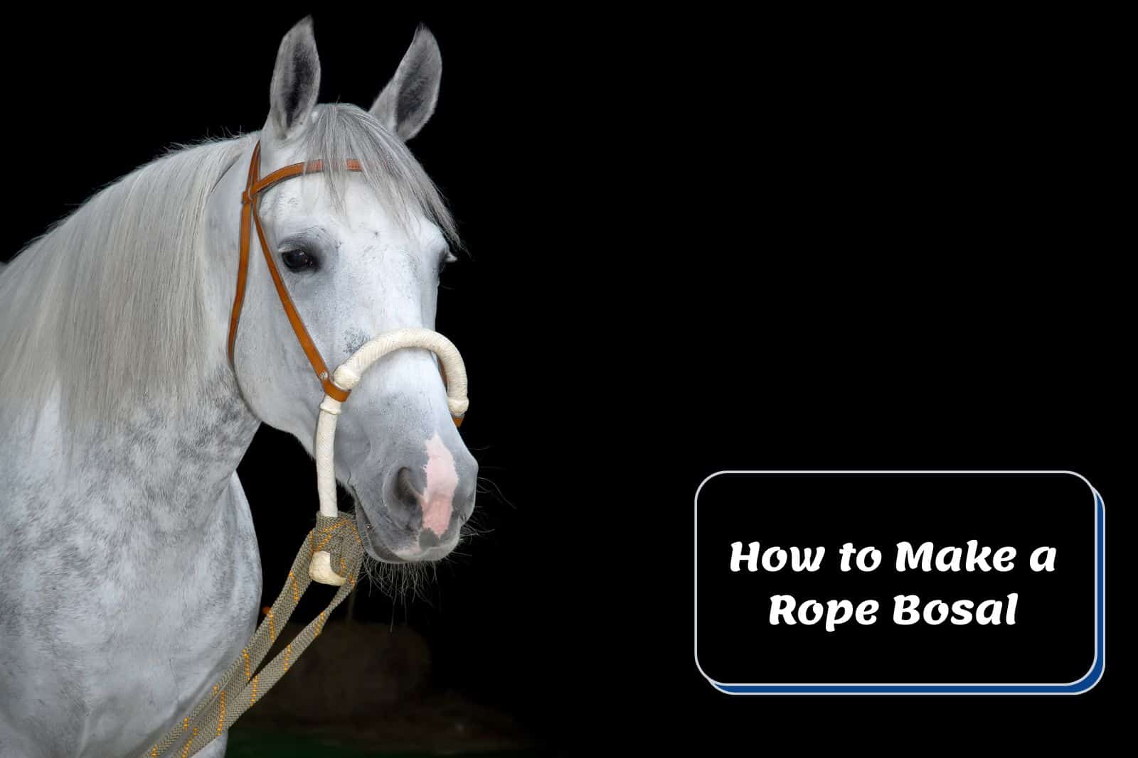 Bosal Racking Clips DIY Guide: How to Make a Rope Bosal for Horseback Riding – My Store