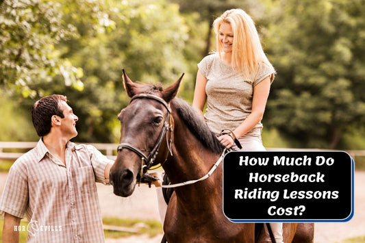 How Much Are Horse Riding Lessons?  (Average Cost & Factors)