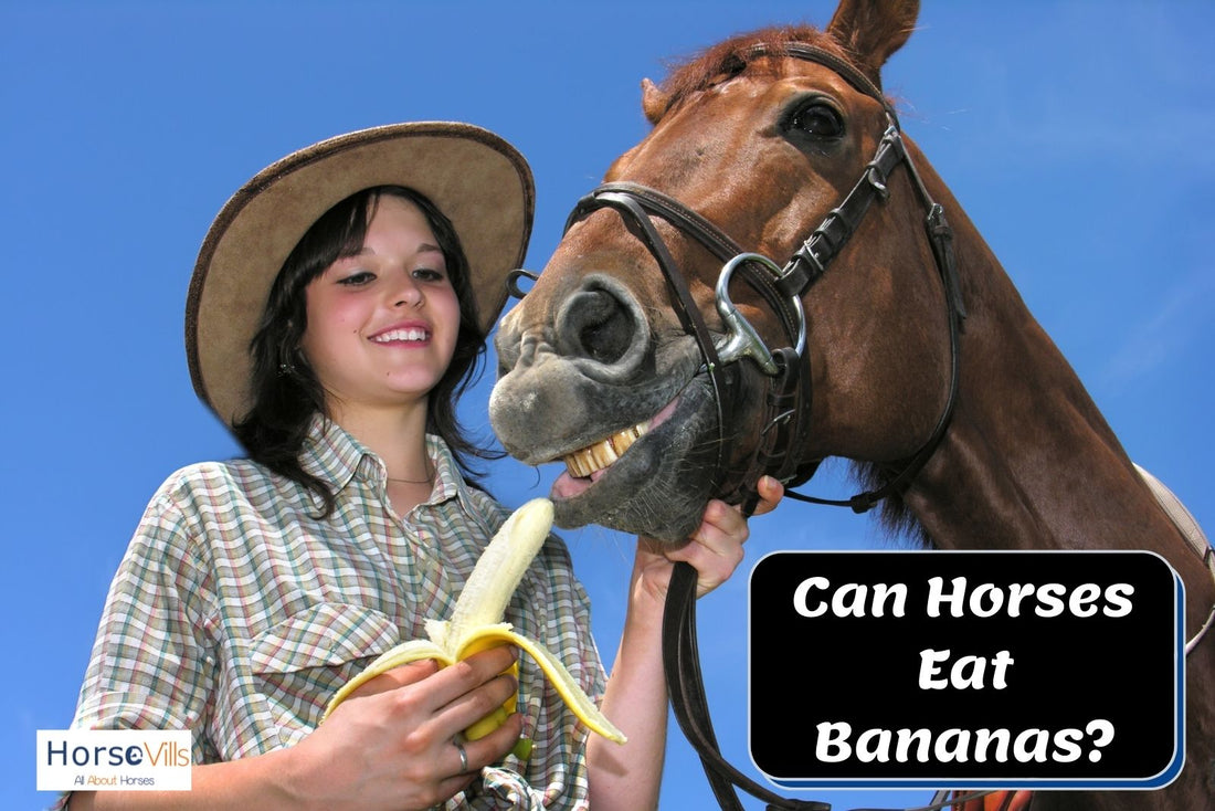 Can Horses Eat Bananas? Is it Healthy for Them?