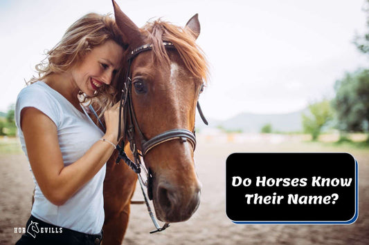 Do Horses Know Their Name? It's likely, But Not How You Think