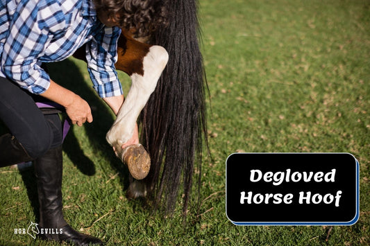 Degloved Horse Hoof: Causes, Treatment, and Prevention