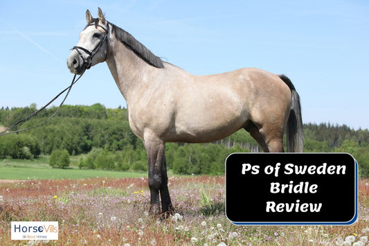 PS of Sweden Bridle Review (Complete Guide)