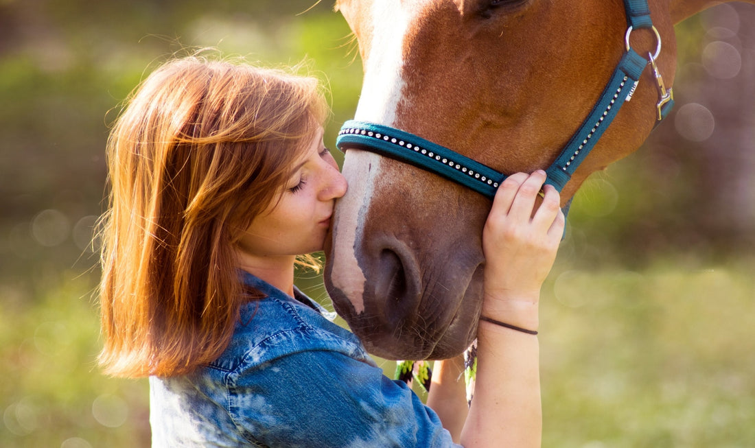 10 Best Things To Do With Your Horse Other Than Riding