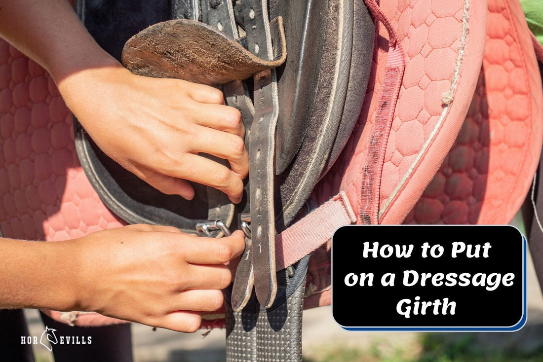 How To Use a Dressage Girth? (A Step-by-Step Guide)