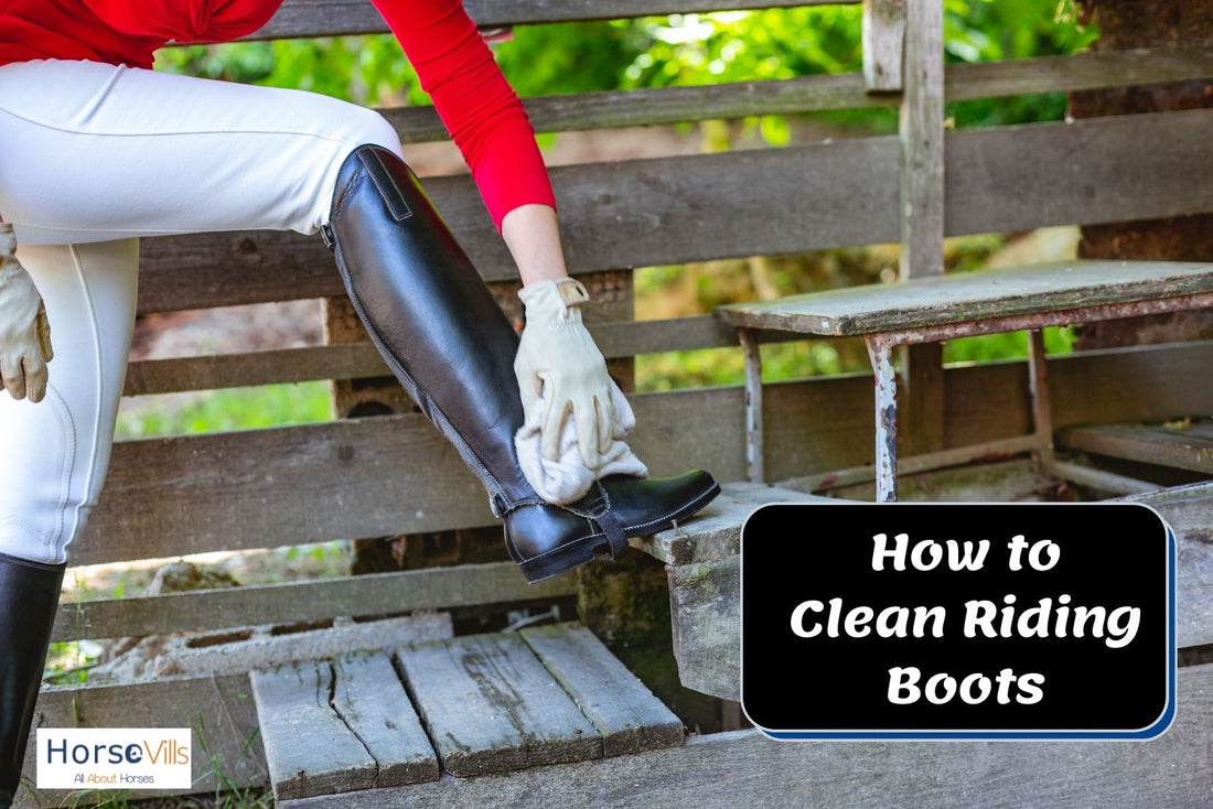 5 Easy Steps to Clean & Polish Horse Riding Boots