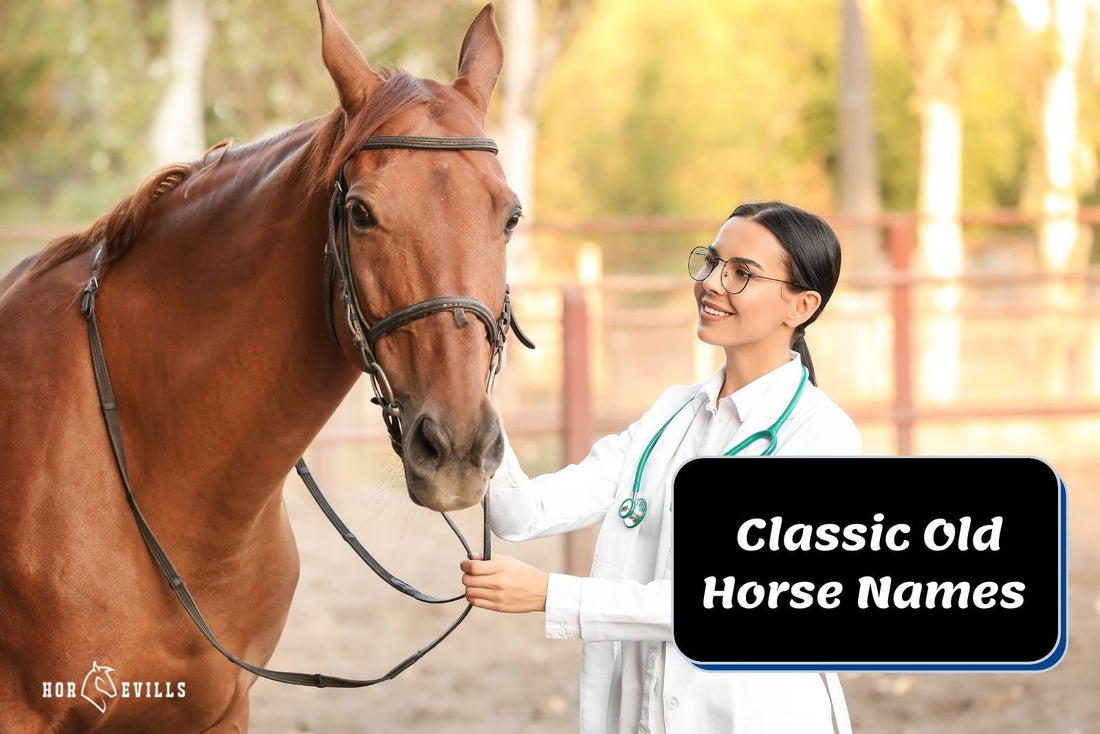 900 Old Horse Names For Mares, Stallions & Geldings