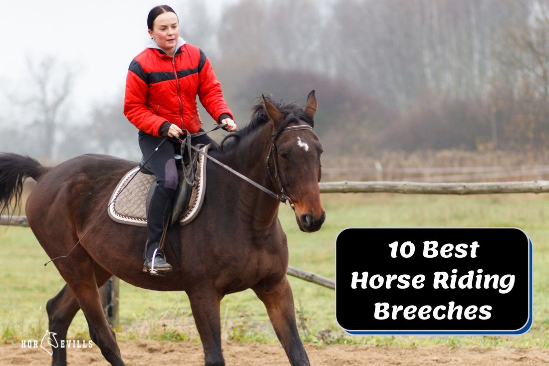 Top 10 Highly-Recommended Horse Riding Breeches