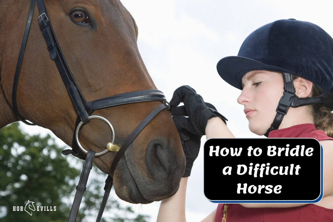 How To Bridle a Difficult Horse (Causes and Expert Tips)