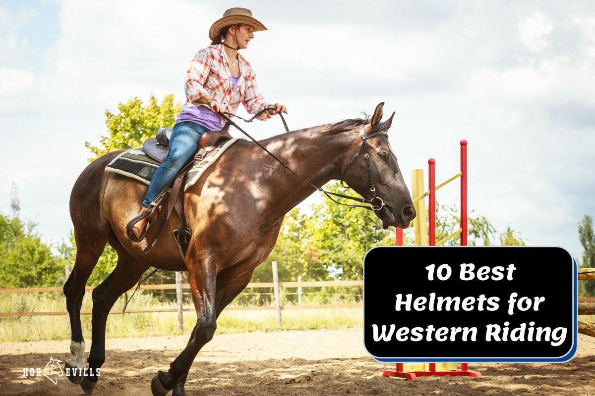 10 Best Helmets for Western Riding (Comprehensive Review) – My Store