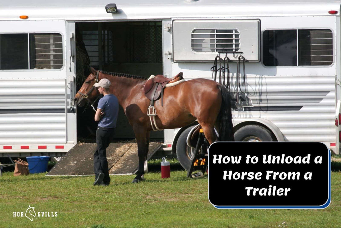 How to Unload a Horse from a Trailer Safely: Steps &amp; Tips