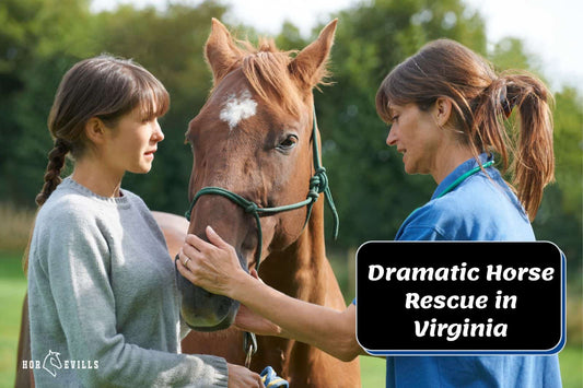 Dramatic Horse Rescue in Virginia: A Journey from Neglect to Hope