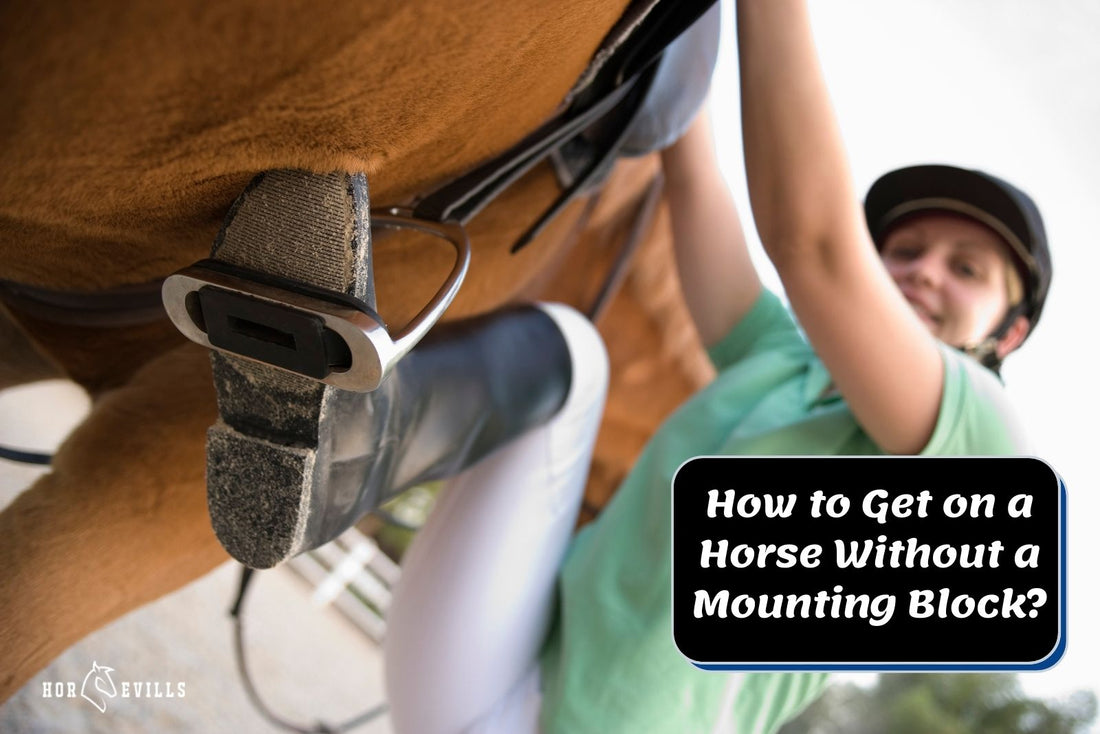 How To Get on a Horse Without a Mounting Block? (Expert Tips)