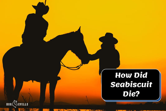 How Did Seabiscuit Die? [The Famous Horse History]