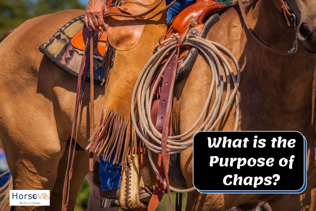 How Chaps Work What Are Riding Chaps for? Do You Really Need Them? – My Store