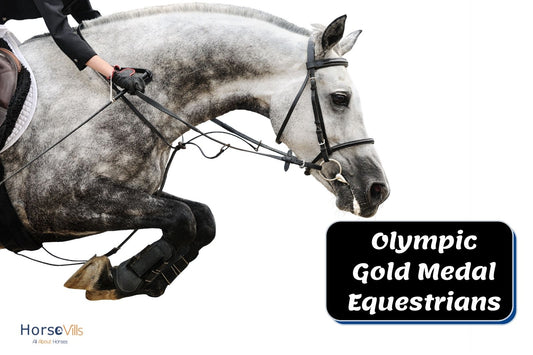 13 Famous Olympic Equestrian Gold Medalists