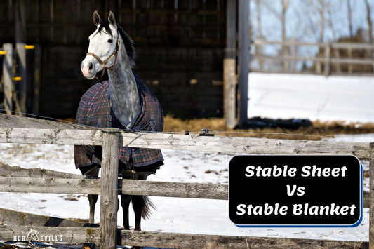 Stable Sheet vs Blanket: What Are the Key Differences?