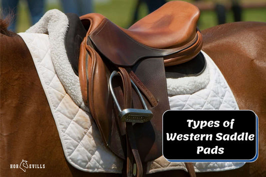 5 Types of Western Saddle Pads [Most Common & What You Need]