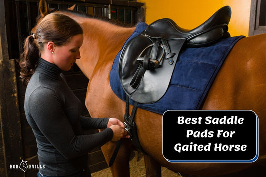 8 Best Saddle Pads for Gaited Horses (Expert Review)