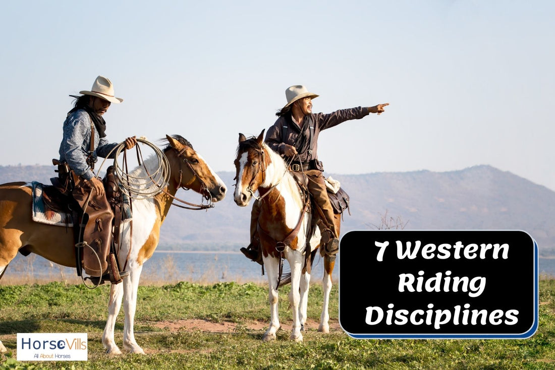 Western Riding Problem Riders 7 Types of Western Riding You Should Know About! – My Store