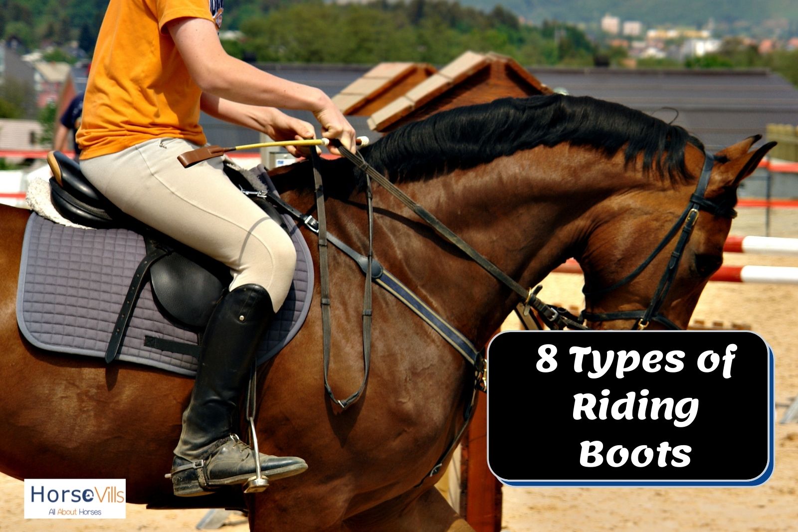 What Are the Types of Riding Boots? – My Store