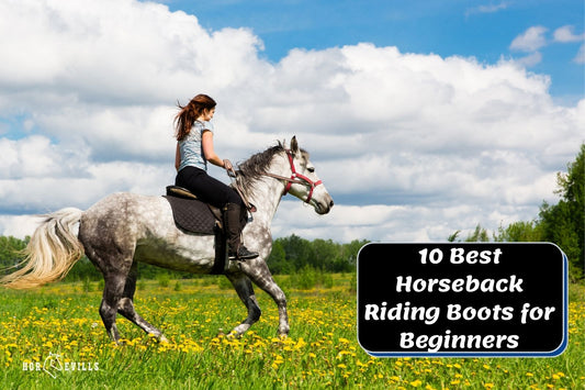 Top 10 Beginner's Boots for Horseback Riding