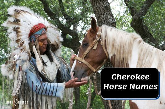 540+ Best Cherokee Horse Names for Your Stallions &amp; Mares