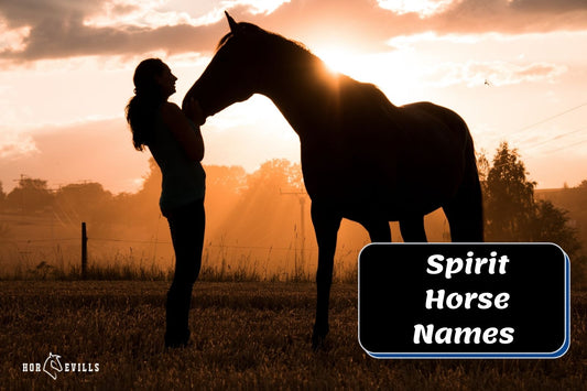 400+ Spirit Horse Names Perfect for Your Mare & Stallion