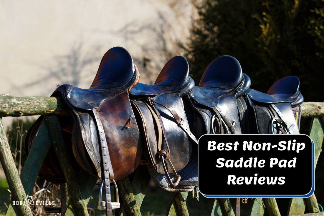 8 Best Non-Slip Saddle Pads (Equestrian Review)