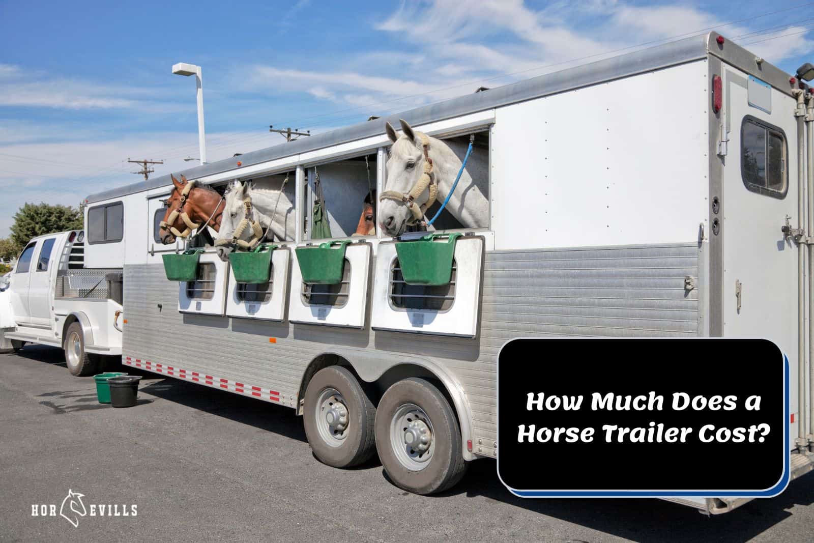 How Much Does a Horse Trailer Cost? [Is New Or Used Better?] – My Store