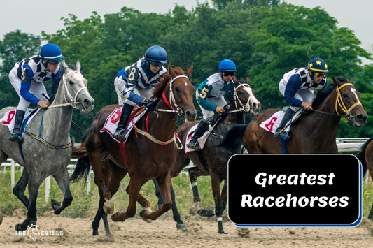 Top 16 Greatest Racehorses You Shouldn't Forget!