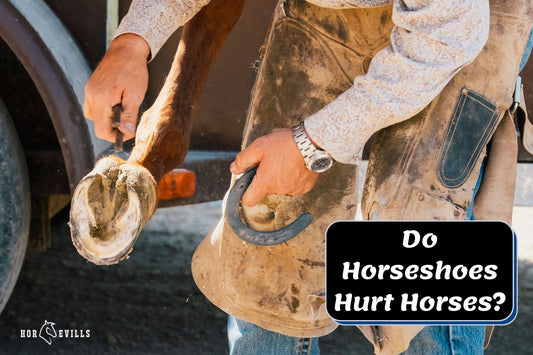 Do Horseshoes Hurt Horses? Is it Cruel or Essential?