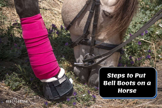 How To Put Bell Boots On a Horse [5 Super Easy Steps]