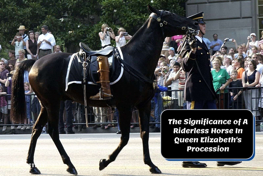 The Significance of A Riderless Horse In Queen Elizabeth's Procession