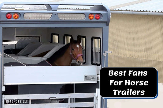 6 Best Fans For Horses Trailer - Review & Buying Guide