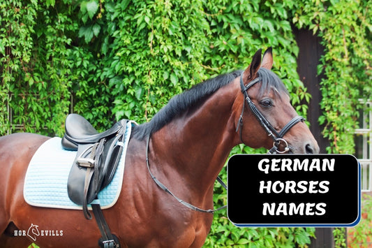 190+ Cool German Horse Names (With Meanings)