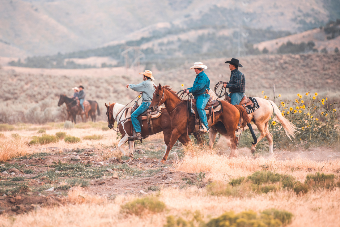 7 Amazing Country Songs About Riding a Horse