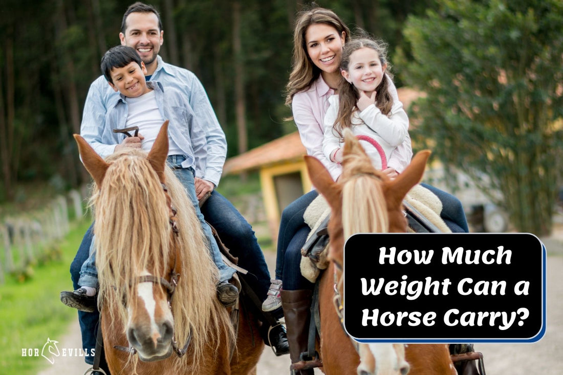 How Much Weight Can a Horse Carry? (Complete Guide)