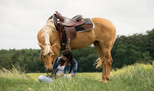 100 Amazing Western Horse Names for Males & Females