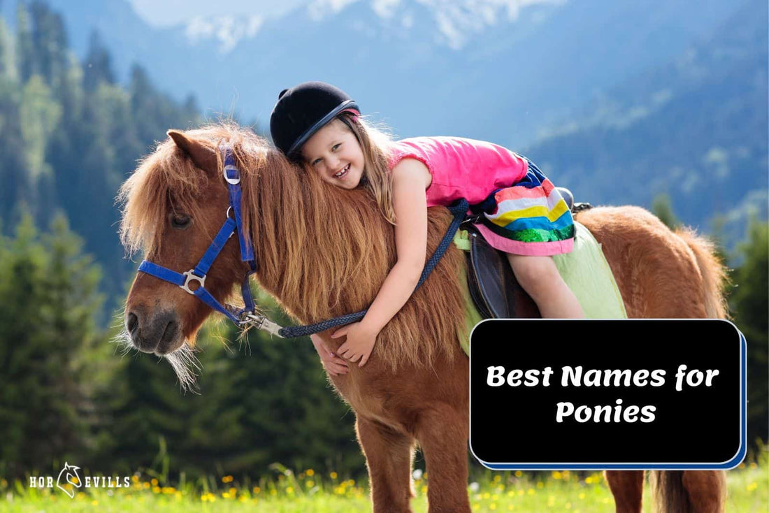 The Guide of Names for Ponies: 300 Unique & Popular Choices